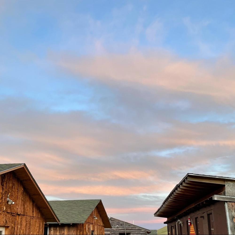 Meet your Posher, Gabby